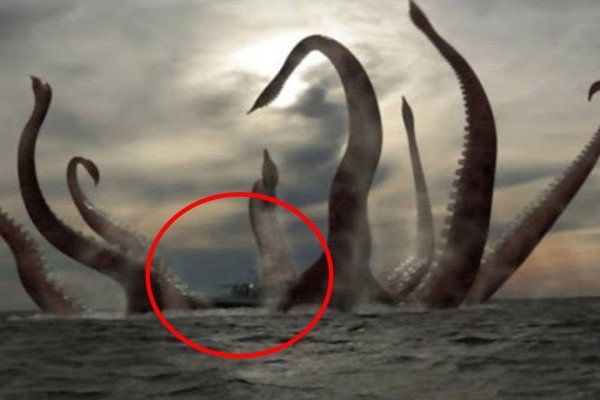 Актуальная ссылка на кракен kraken