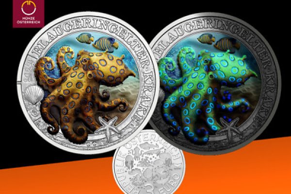 Kraken 18
