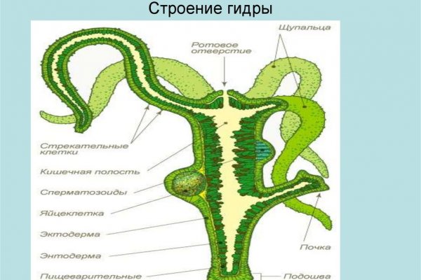 Кракен krakken15at com